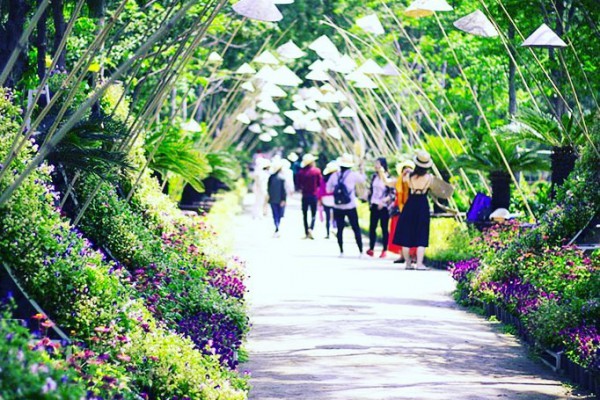 TOUR ĐẢO KHỈ - SUỐI HOA LAN