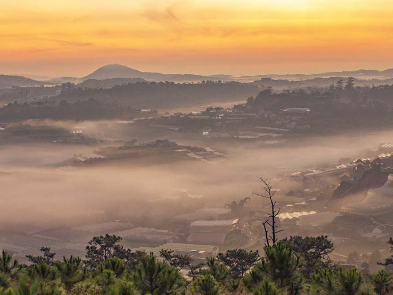 SĂN MÂY ĐÀ LẠT